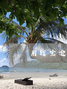 用钱宝逾期影响车贷呢 用钱宝逾期影响车贷呢