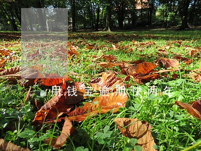 用钱宝逾期快两年 用钱宝逾期快两年