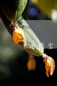 用钱宝逾期怎么申诉 用钱宝逾期怎么申诉