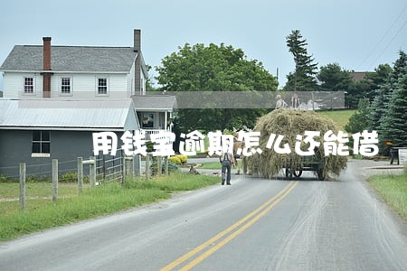 用钱宝逾期怎么还能借 用钱宝逾期怎么还能借