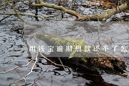 用钱宝逾期想款还不了怎么办 用钱宝逾期想款还不了怎么办