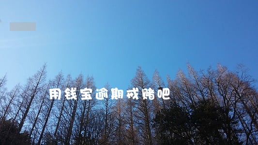 用钱宝逾期戒赌吧