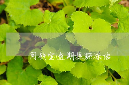 用钱宝逾期提额冻结 用钱宝逾期提额冻结