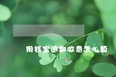 用钱宝逾期收费怎么算 用钱宝逾期收费怎么算