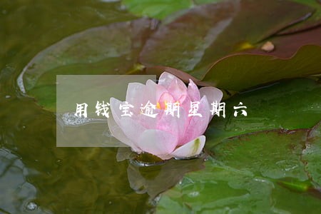用钱宝逾期星期六 用钱宝逾期星期六