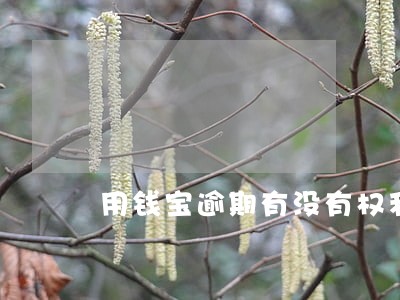 用钱宝逾期有没有权利冻结银行卡 用钱宝逾期有没有权利冻结银行卡