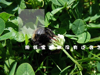 用钱宝逾期没有还会怎么样 用钱宝逾期没有还会怎么样