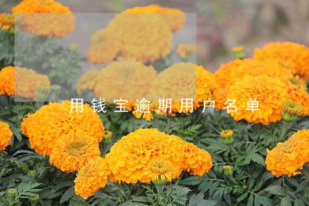 用钱宝逾期用户名单 用钱宝逾期用户名单