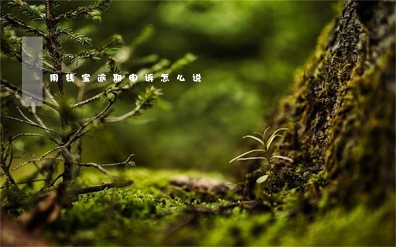 用钱宝逾期申诉怎么说 用钱宝逾期申诉怎么说