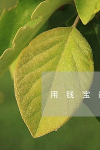 用钱宝逾期登不进去吗 用钱宝逾期登不进去吗
