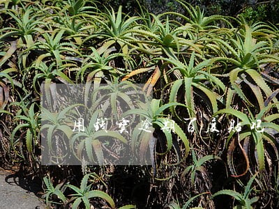 用钱宝逾期百度贴吧 用钱宝逾期百度贴吧