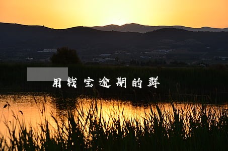 用钱宝逾期的群 用钱宝逾期的群
