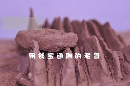 用钱宝逾期的老哥 用钱宝逾期的老哥