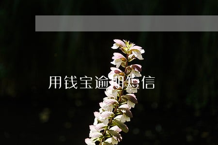 用钱宝逾期短信 用钱宝逾期短信