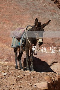 用钱宝逾期短信模板 用钱宝逾期短信模板