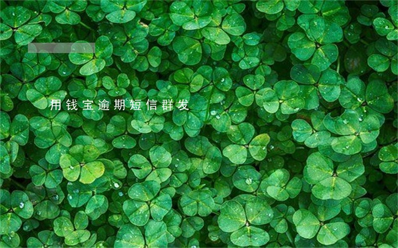 用钱宝逾期短信群发 用钱宝逾期短信群发