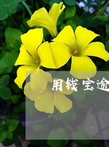 用钱宝逾期罚款 用钱宝逾期罚款