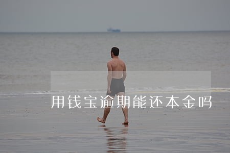 用钱宝逾期能还本金吗 用钱宝逾期能还本金吗