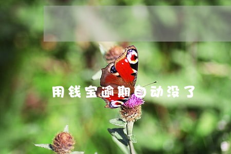 用钱宝逾期自动没了 用钱宝逾期自动没了