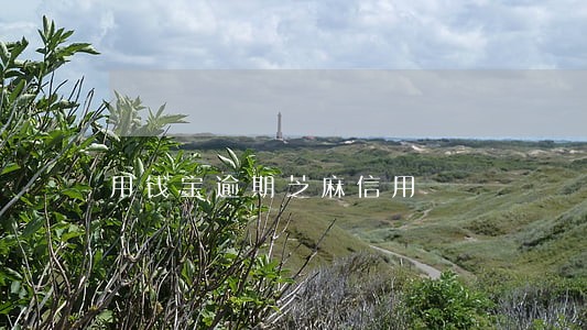 用钱宝逾期芝麻信用 用钱宝逾期芝麻信用