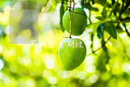 用钱宝逾期被仲裁 用钱宝逾期被仲裁