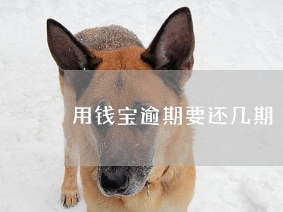 用钱宝逾期要还几期 用钱宝逾期要还几期