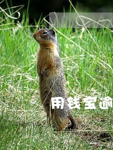 用钱宝逾期说只还本金 用钱宝逾期说只还本金
