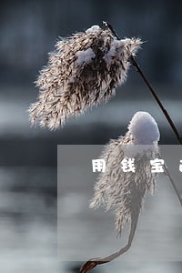 用钱宝逾期贴吧 用钱宝逾期贴吧