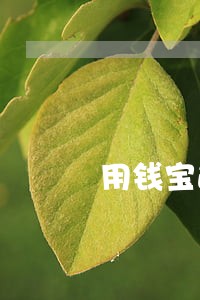 用钱宝逾期费太高