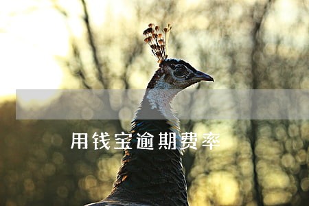 用钱宝逾期费率 用钱宝逾期费率