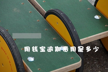 用钱宝逾期费用是多少 用钱宝逾期费用是多少