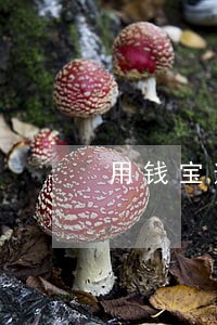 用钱宝逾期费用超过规定 用钱宝逾期费用超过规定