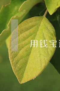 用钱宝逾期费高吗 用钱宝逾期费高吗