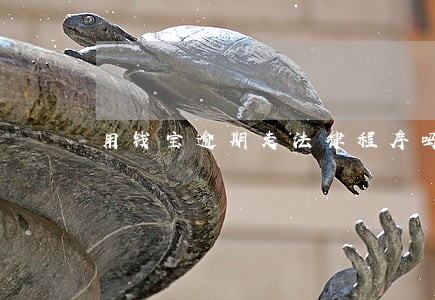 用钱宝逾期走法律程序吗 用钱宝逾期走法律程序吗