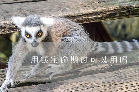 用钱宝逾期过可以用吗 用钱宝逾期过可以用吗