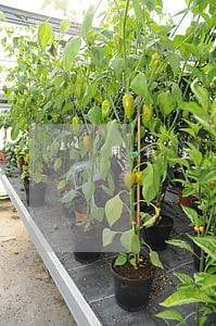 用钱宝逾期过还会放款吗 用钱宝逾期过还会放款吗