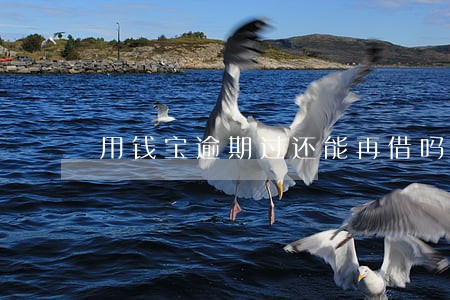 用钱宝逾期过还能再借吗
