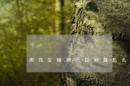 用钱宝逾期还款利息怎么算