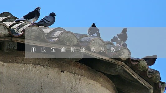 用钱宝逾期还款失败 用钱宝逾期还款失败