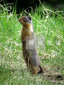 用钱宝逾期还款方式