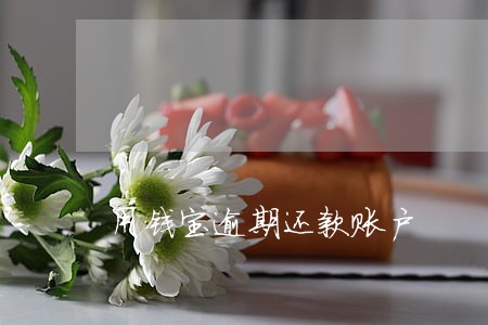 用钱宝逾期还款账户
