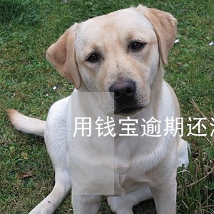 用钱宝逾期还清拒绝