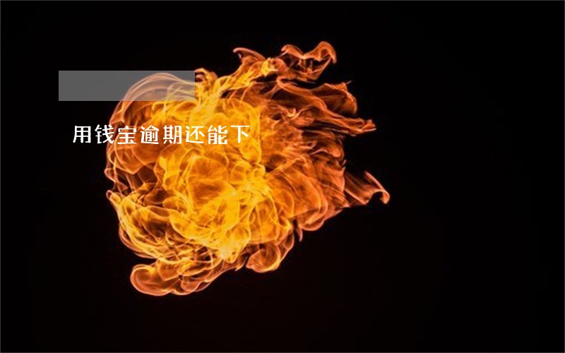 用钱宝逾期还能下