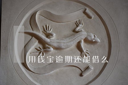 用钱宝逾期还能借么