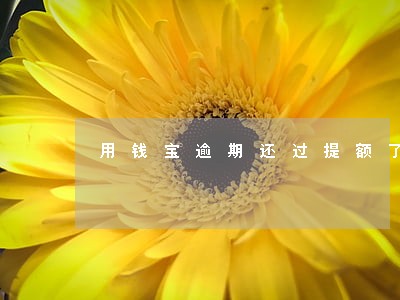 用钱宝逾期还过提额了