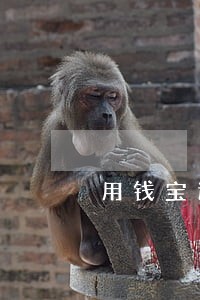 用钱宝逾期还进后不能再借