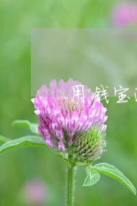用钱宝逾期追究