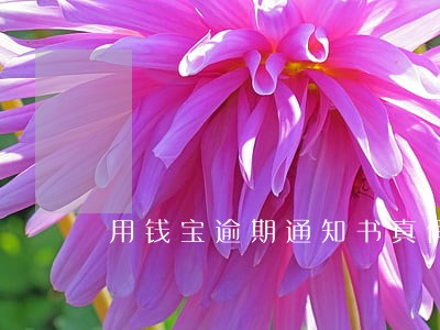 用钱宝逾期通知书真假