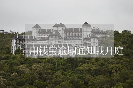 用钱宝逾期通知我开庭