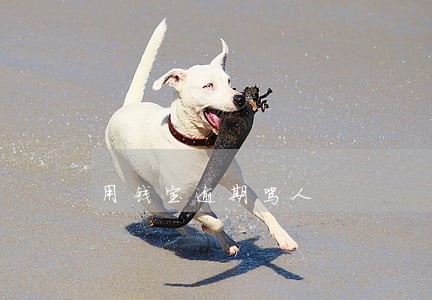 用钱宝逾期骂人 用钱宝逾期骂人